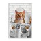 Stupell Industries Whimsy Cat on Toilet Framed Giclee, design by Matthew Piotrowicz